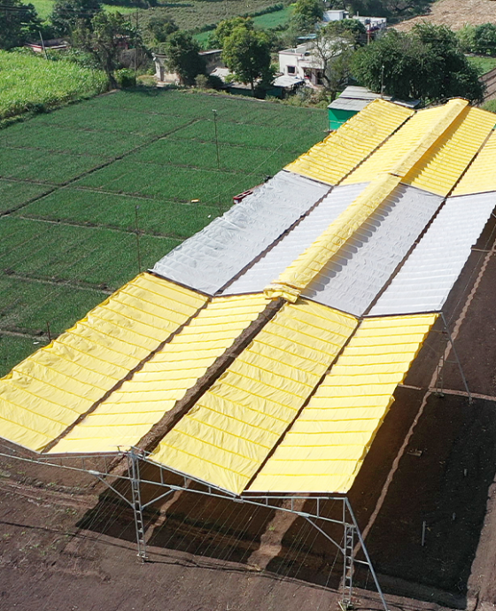 Crop Shield